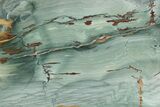 Gary Green Jasper (Larsonite) Bog Wood Section - Oregon #377955-1